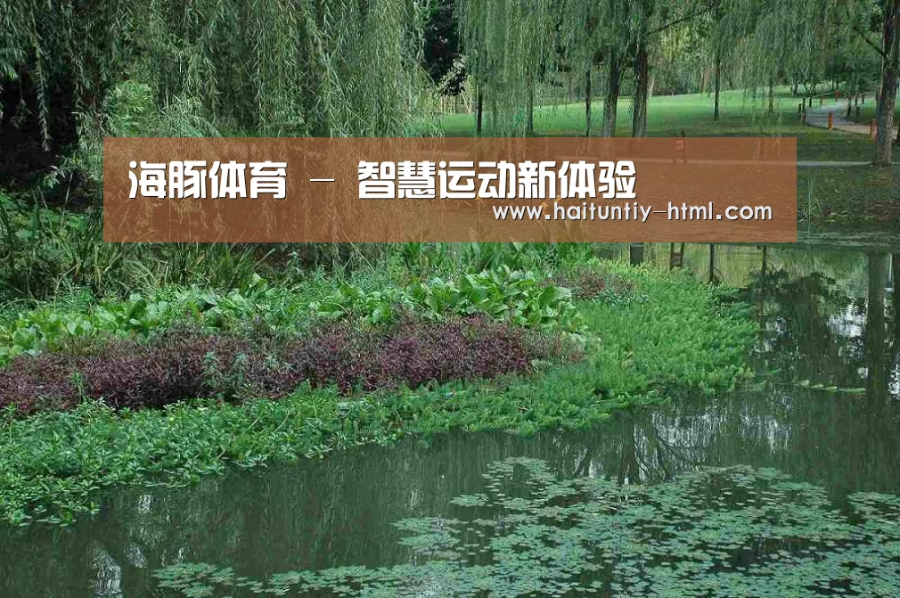 案例展示一(图1)