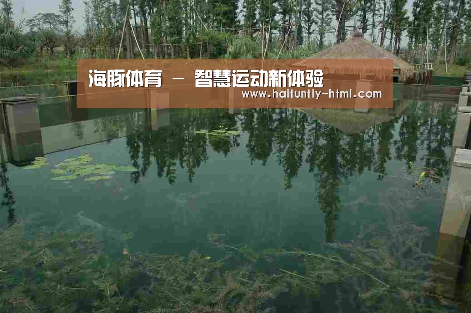 案例展示二(图1)
