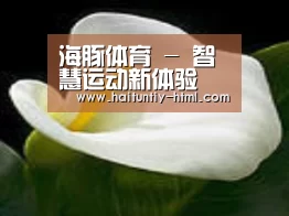 产品名称七