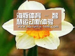 产品名称四