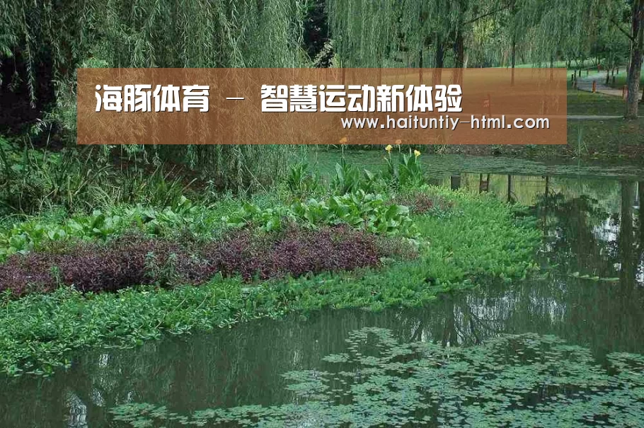 案例展示一