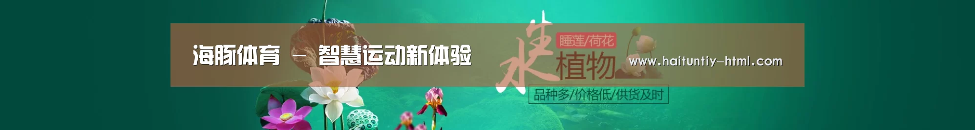 鲜花水草花卉网站模板