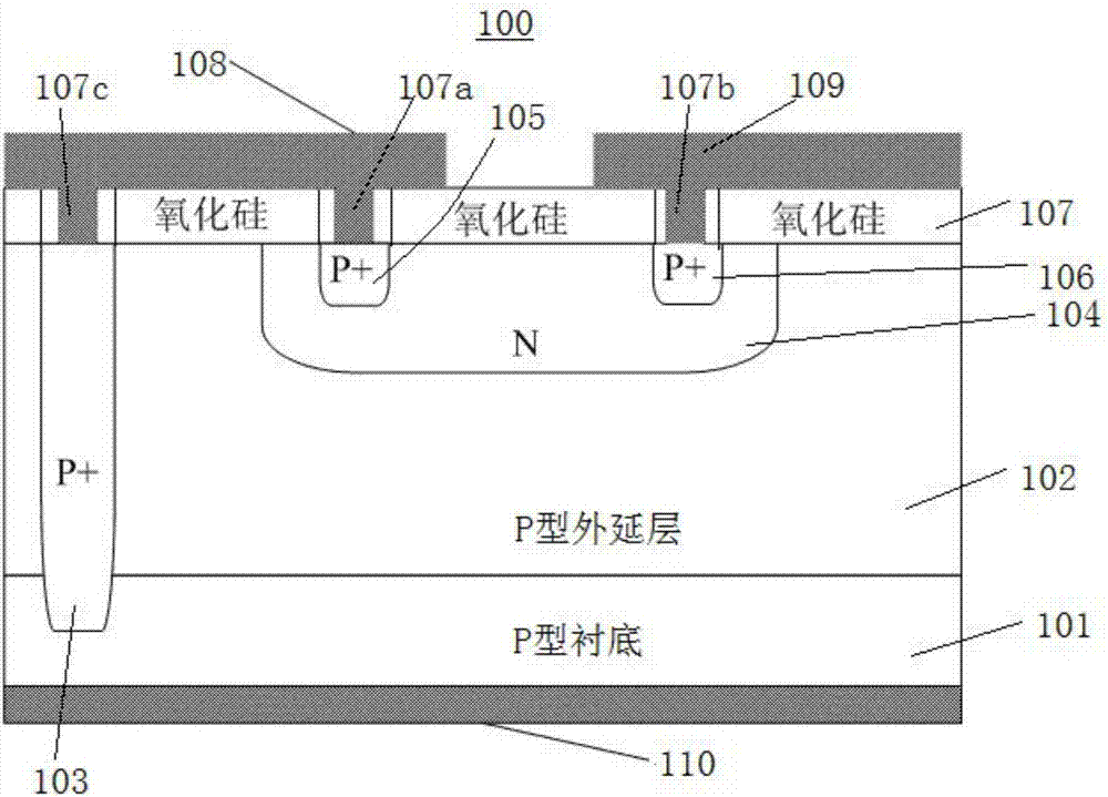海豚直播体育